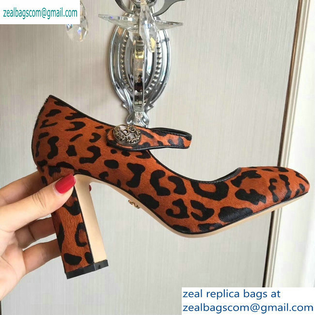 Dolce  &  Gabbana Leopard Print Pony Hair Pumps 03 2019